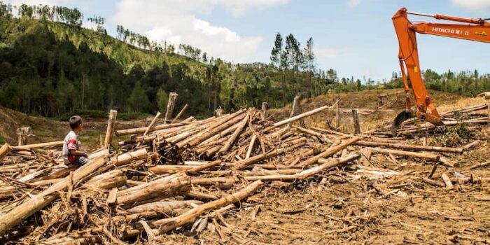 1768981078_8860f94c710e336da518