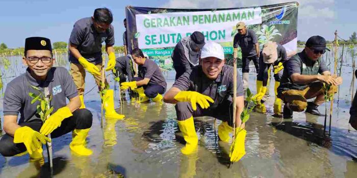 IMG-20260127-WA0022_11zon