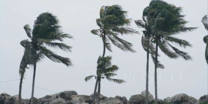 Screenshot_2026-01-24-21-31-57-781-edit_com.android.chrome