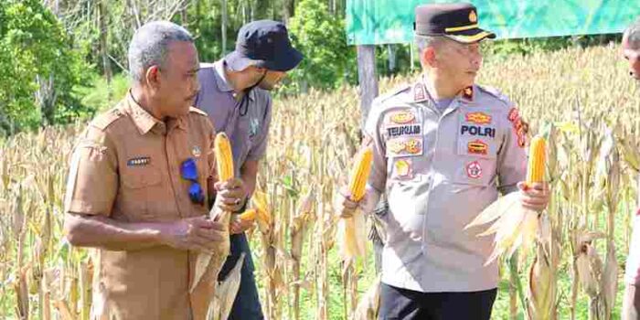 IMG-20260223-WA0022_11zon