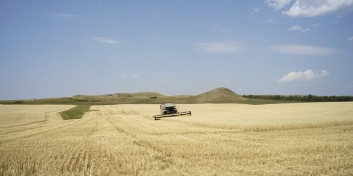 Nix-Pix-021-1030x687