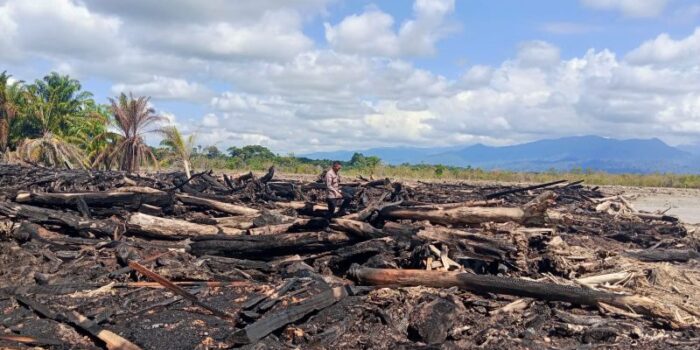 WhatsApp-Image-2026-01-31-at-14.11.04-800x445