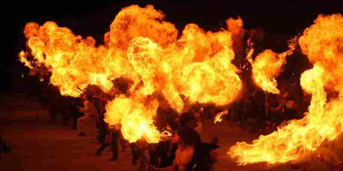 rosehalady0-fire-eaters-542054_1920_11zon