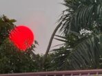 IMG-20260821-WA0018